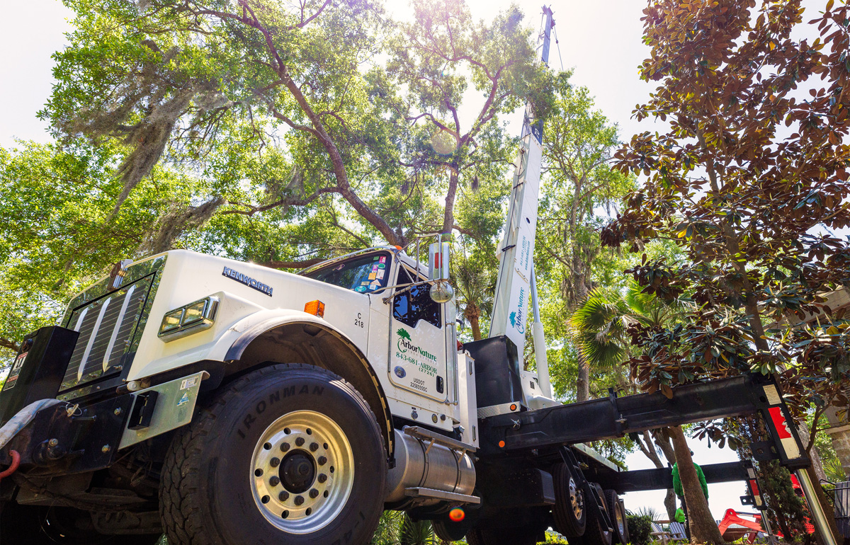 Crane-assisted Tree Removals